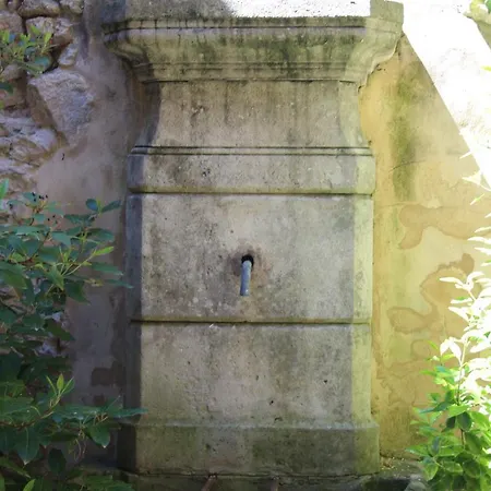 Le Patio